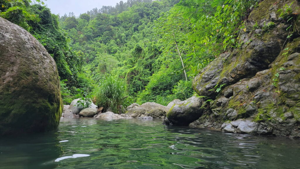 A river winding through a dense jungle, showcasing lush greenery and vibrant tropical vegetation, reflecting the essence of 'Xaymaca,' which means 'land of wood and water