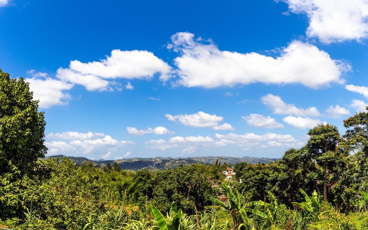 jamaica-eco-tourism Jamaican landscape with lush greenery and a clear sky