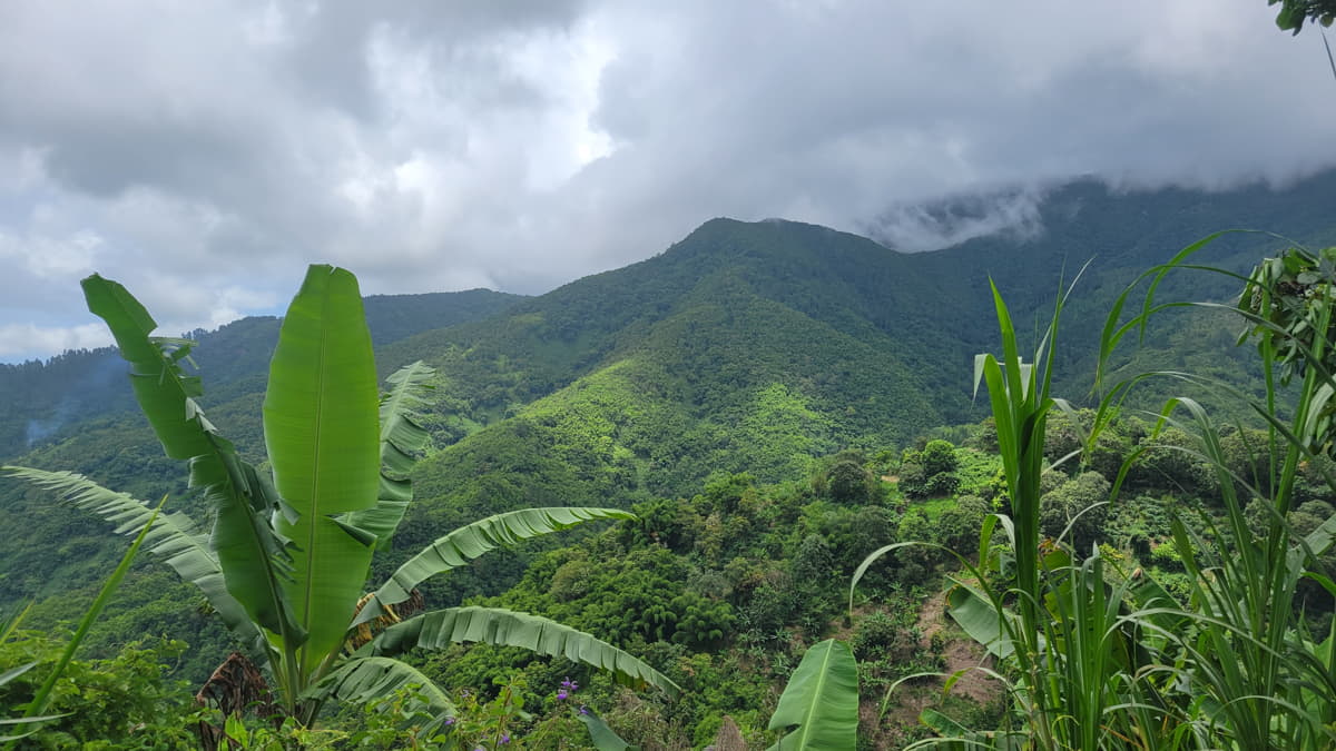 view-of-blue-mountains-jamaica Blue Mountains in Jamaica, a view showcasing the green landscape, often associated with cool temperatures.