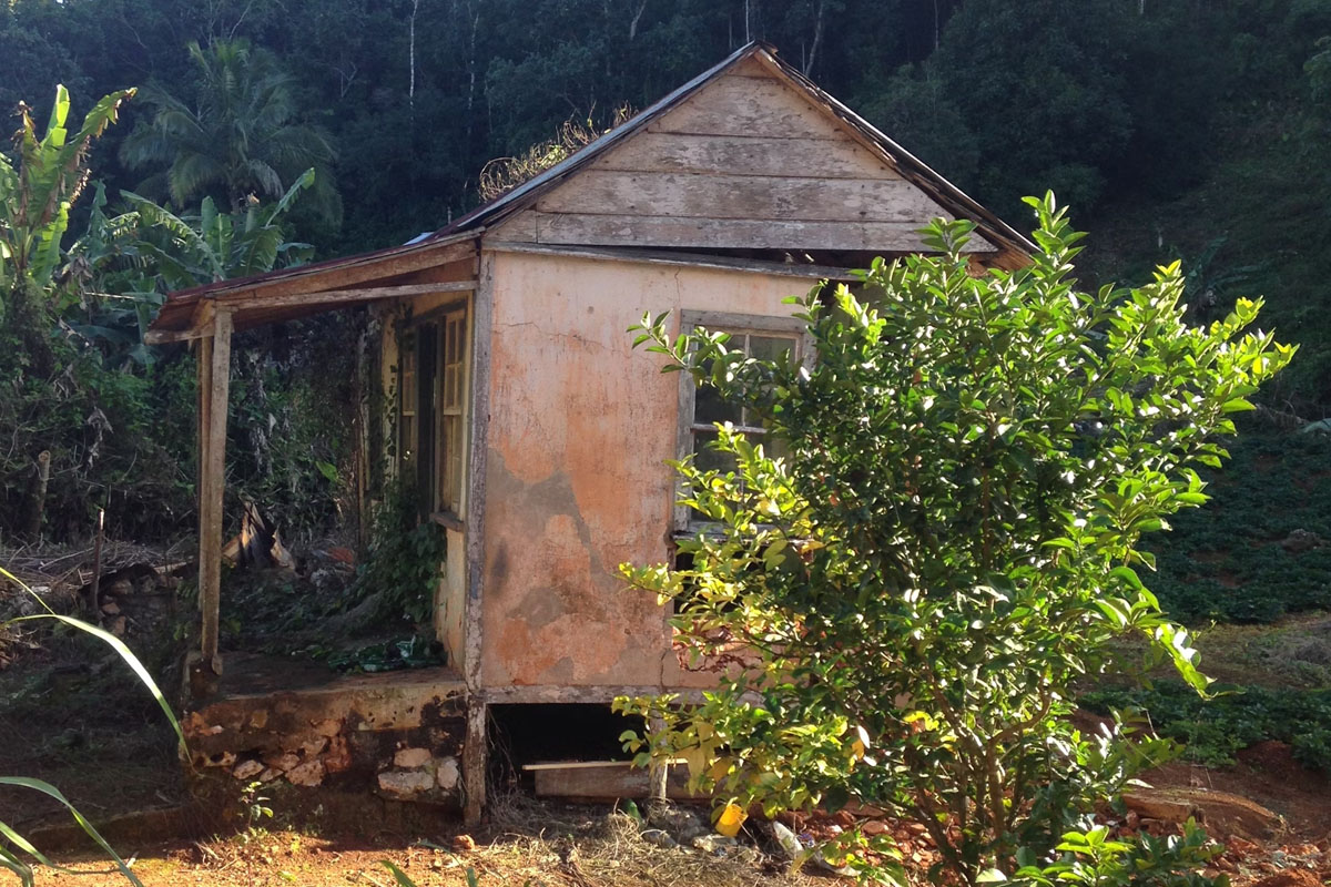 A house in the countryside of Jamaica.