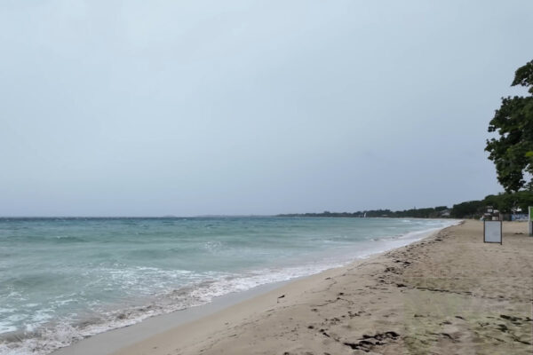 What's the Weather in Jamaica in February? (Is It Hot or Rainy?)