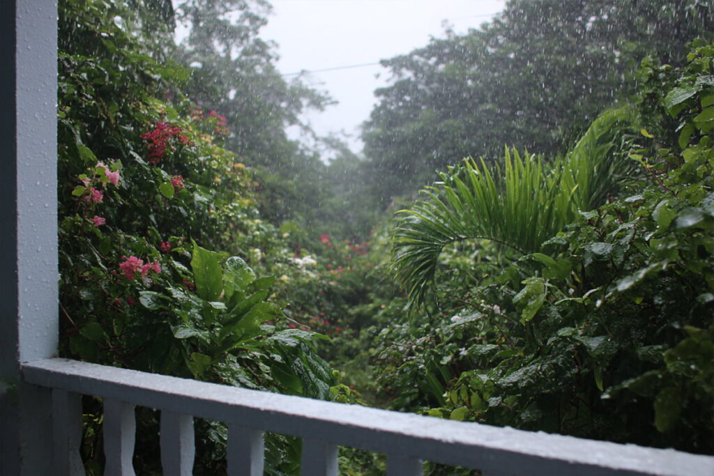 Tropical rain showers in Jamaica in August, seen from a veranda