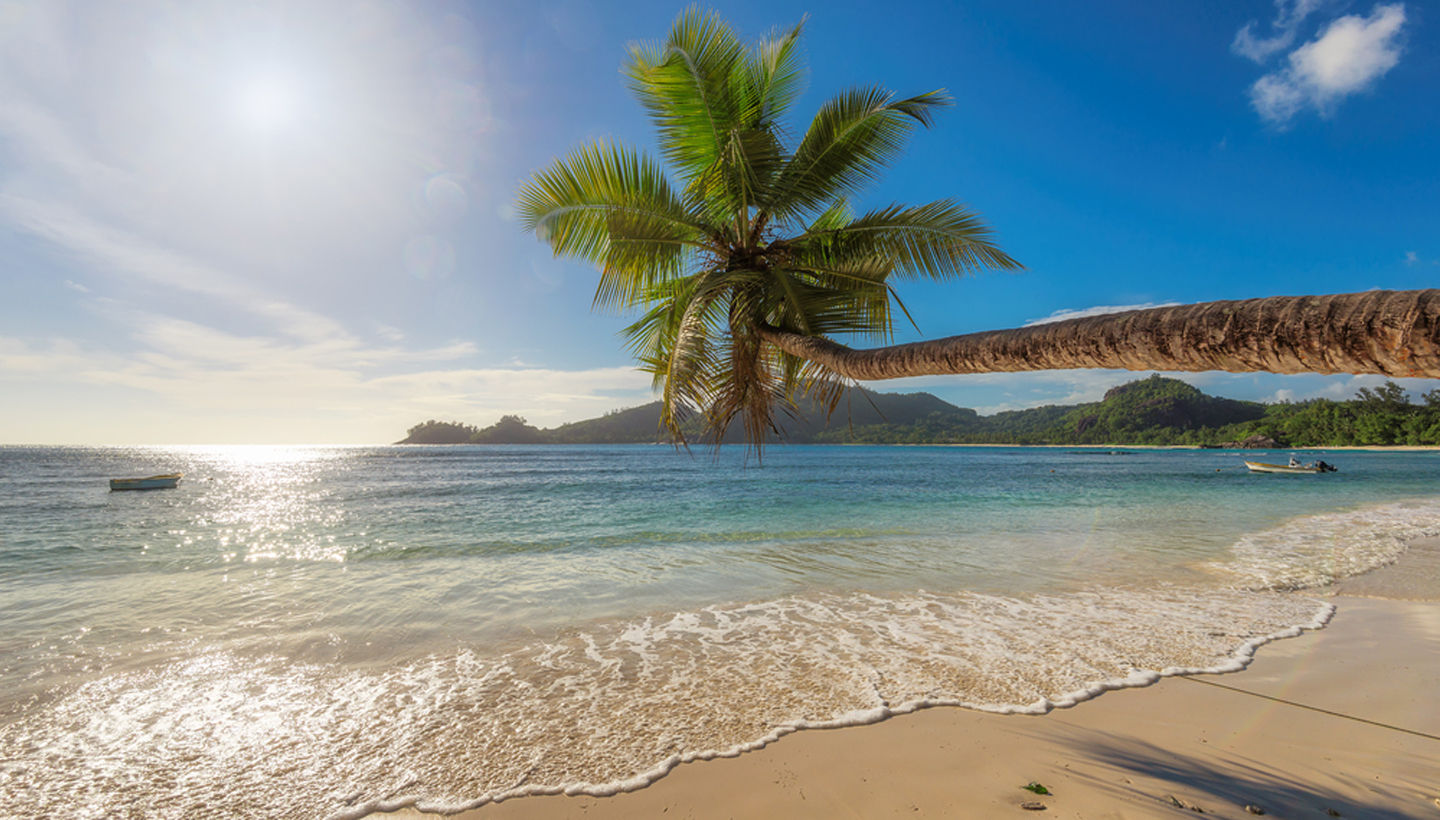 jamaica-your-ultimate-travel-guide